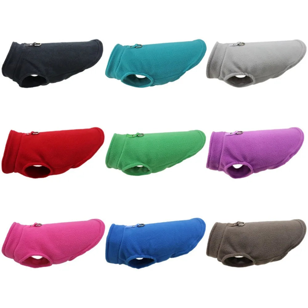 Europe, America, Amazon pet clothes, dog clothes