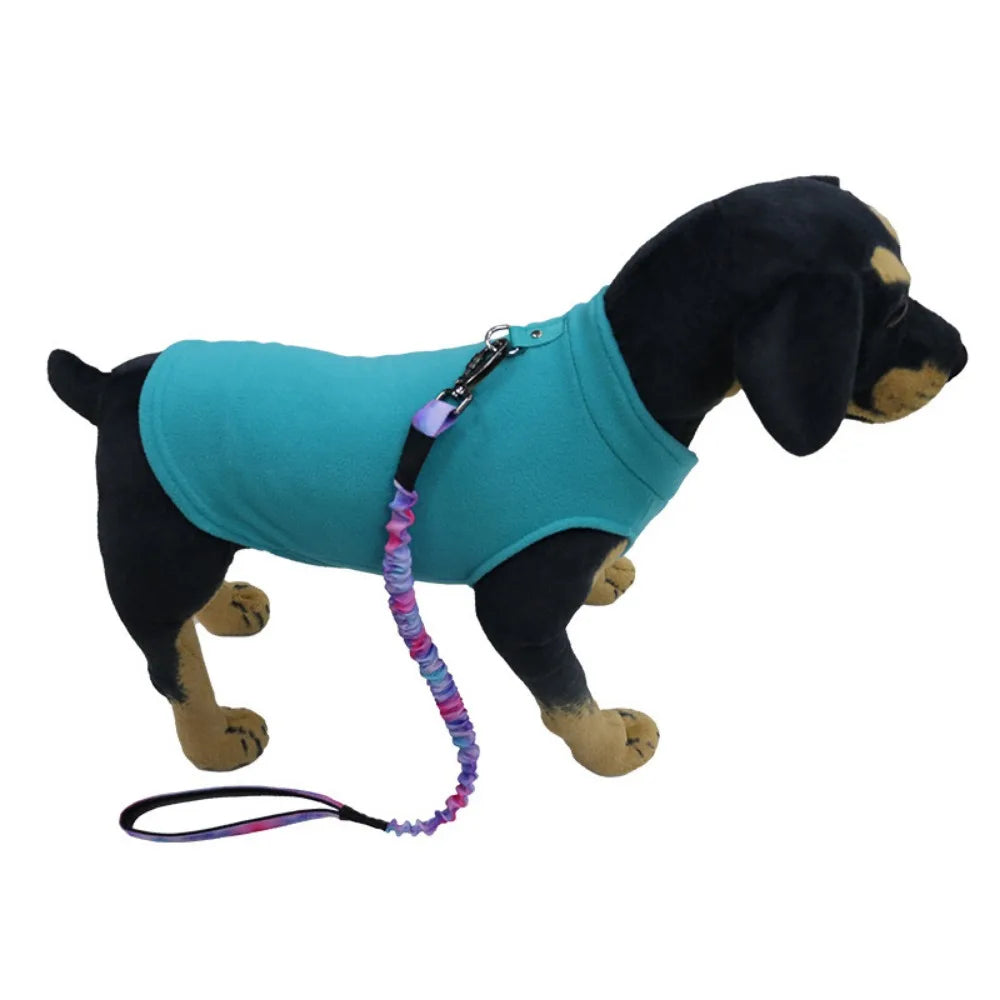 Europe, America, Amazon pet clothes, dog clothes