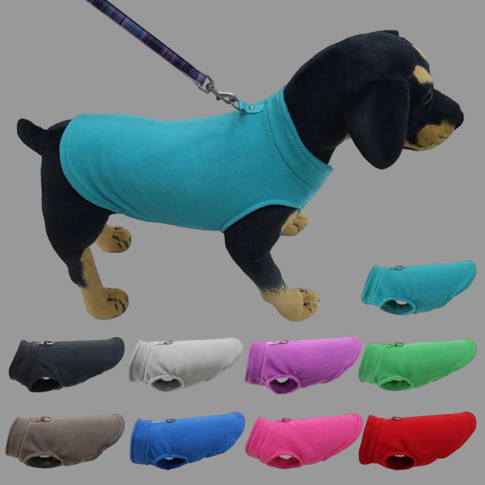 Europe, America, Amazon pet clothes, dog clothes