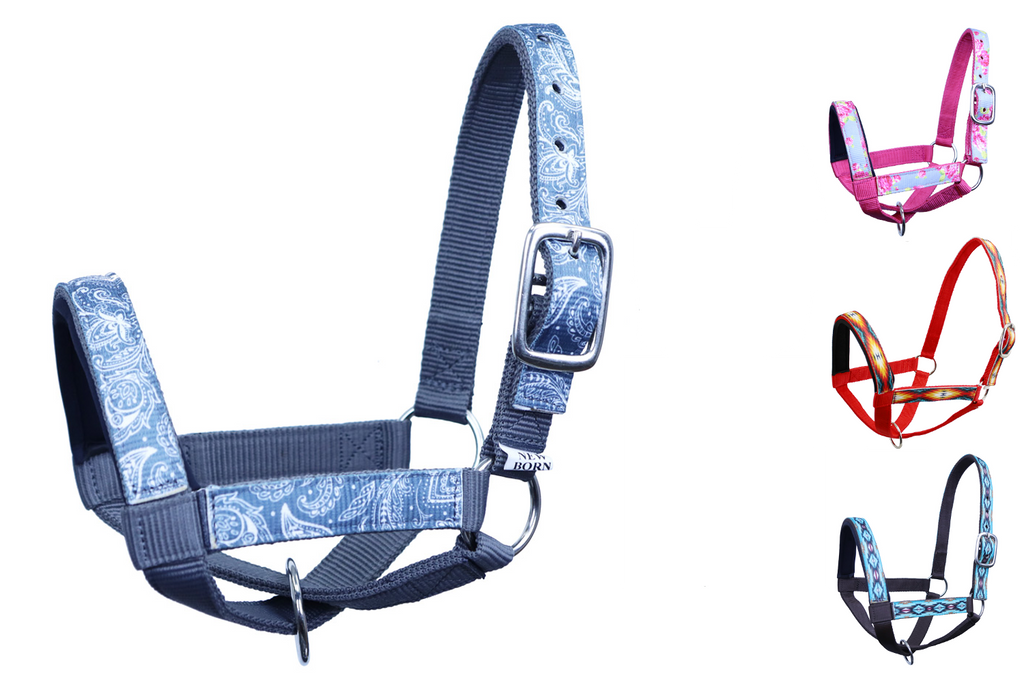 Tahoe Tack Nylon Overlay Sheep and Goat Halter