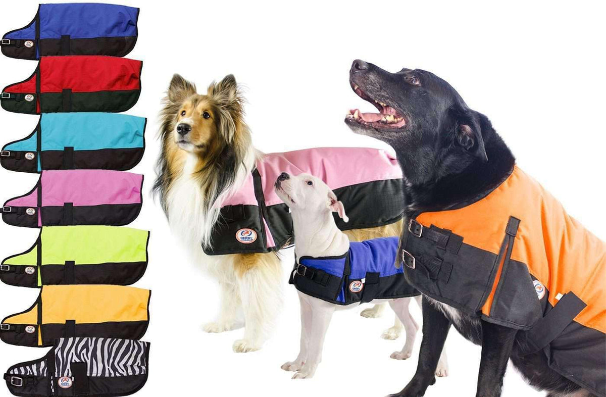 Derby Originals Horse Tough 600D Ripstop Waterproof Winter Dog Coat