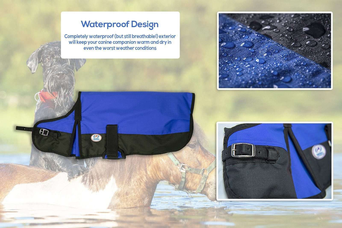Derby Originals Horse Tough 600D Ripstop Waterproof Winter Dog Coat