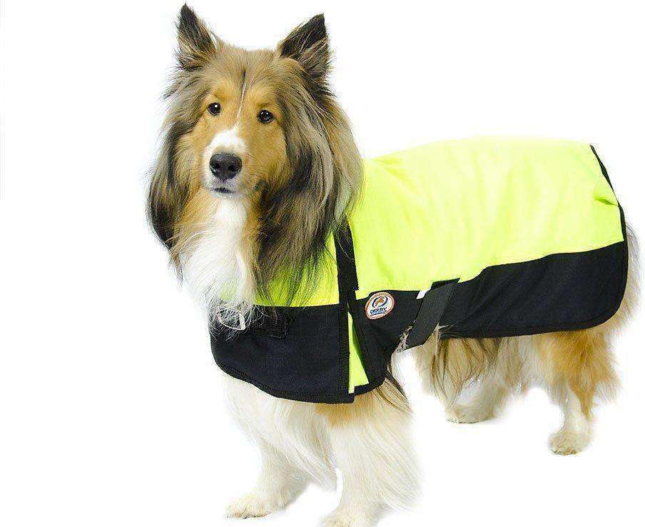 Derby Originals Horse Tough 600D Ripstop Waterproof Winter Dog Coat