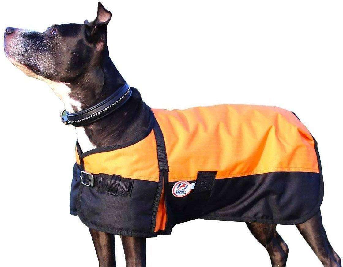 Derby Originals Horse Tough 600D Ripstop Waterproof Winter Dog Coat