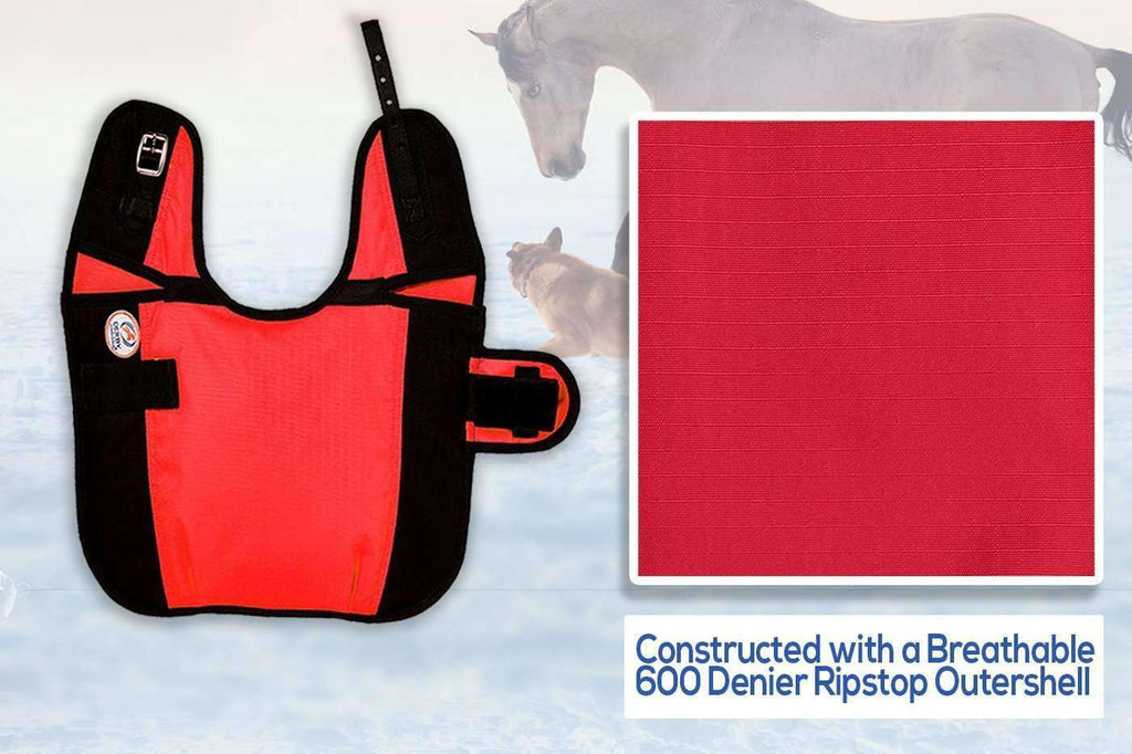 Derby Originals Horse Tough 600D Ripstop Waterproof Winter Dog Coat