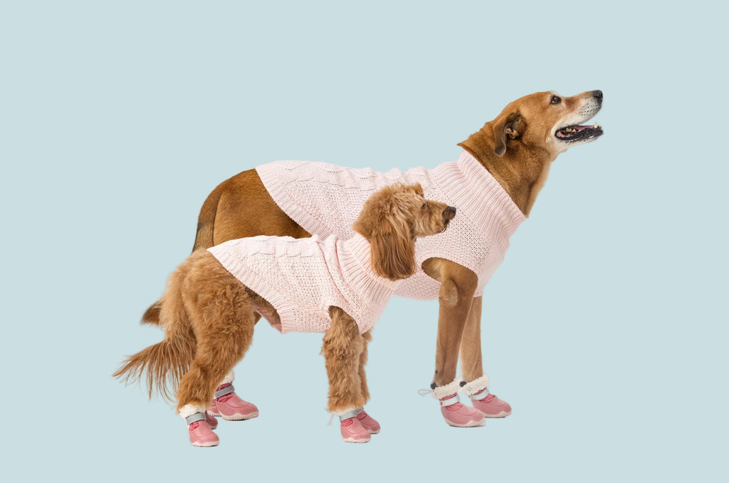 The Stassi- Dog Snow Boots