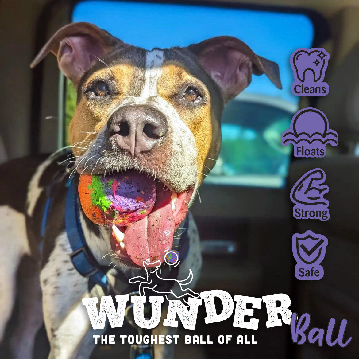 WUNDERball - Best Fetch Toy