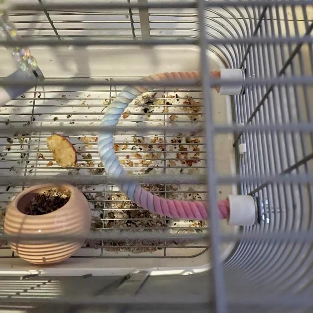 Gradient Colorful Bird Rope Perch Stand for Bird Cages