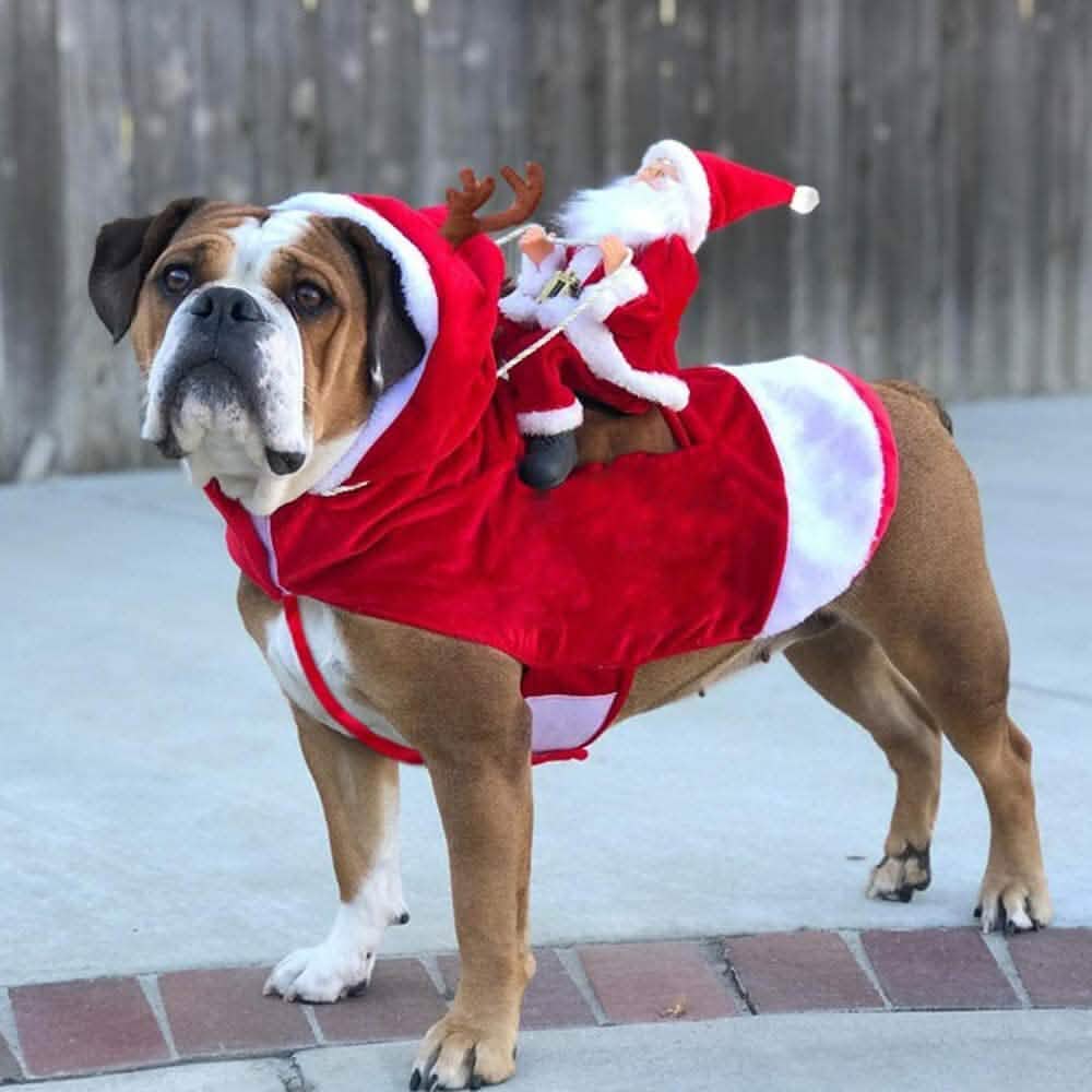 Dog Costume Christmas Pet Clothes