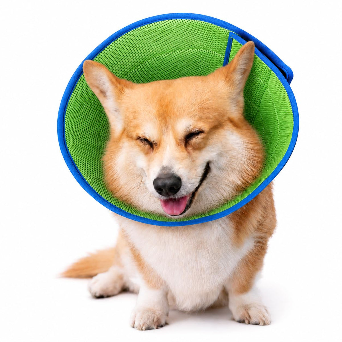 Soft Dog Cone Collar to Stop Licking After Surgery
