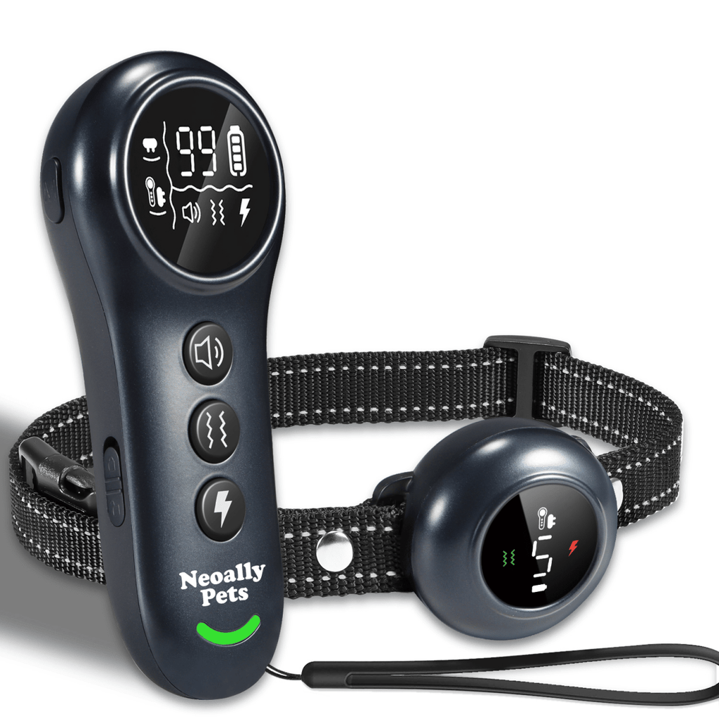 Neo Ally 2-in-1 Dog Training & Bark Control Collar