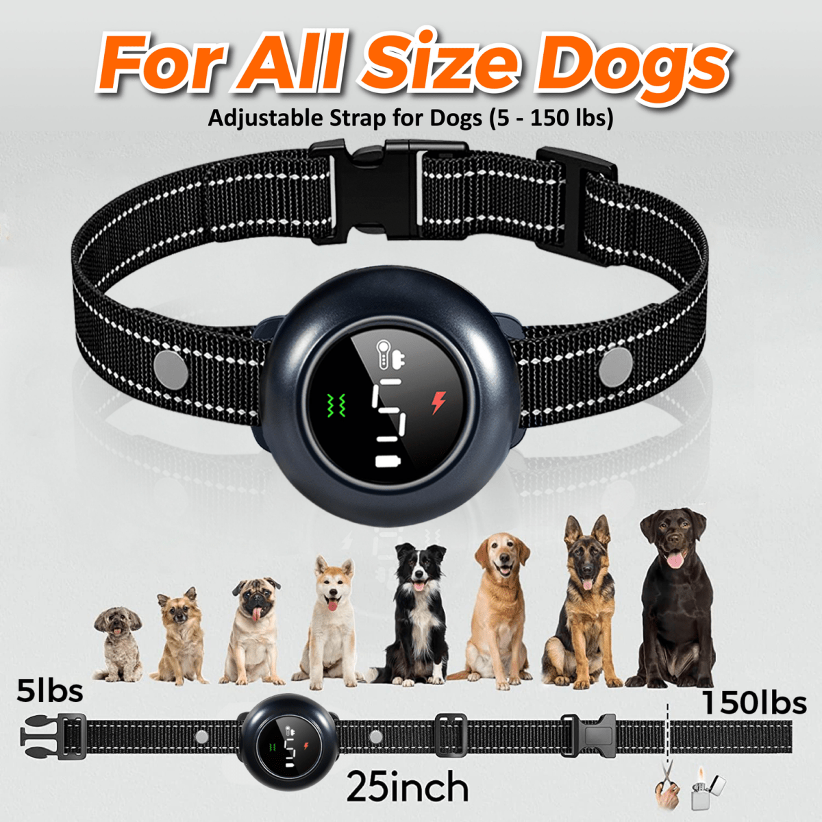 Neo Ally 2-in-1 Dog Training & Bark Control Collar