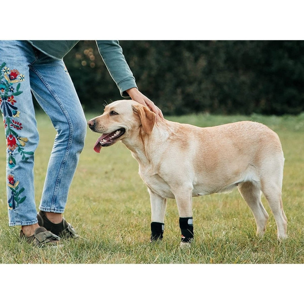 NeoAlly 3-in-1 Front Leg Dog Splint Brace