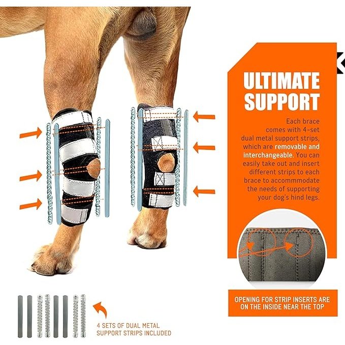 NeoAlly 3-in-1 Long Rear Leg Hock Brace - Rigid and Spring Inserts