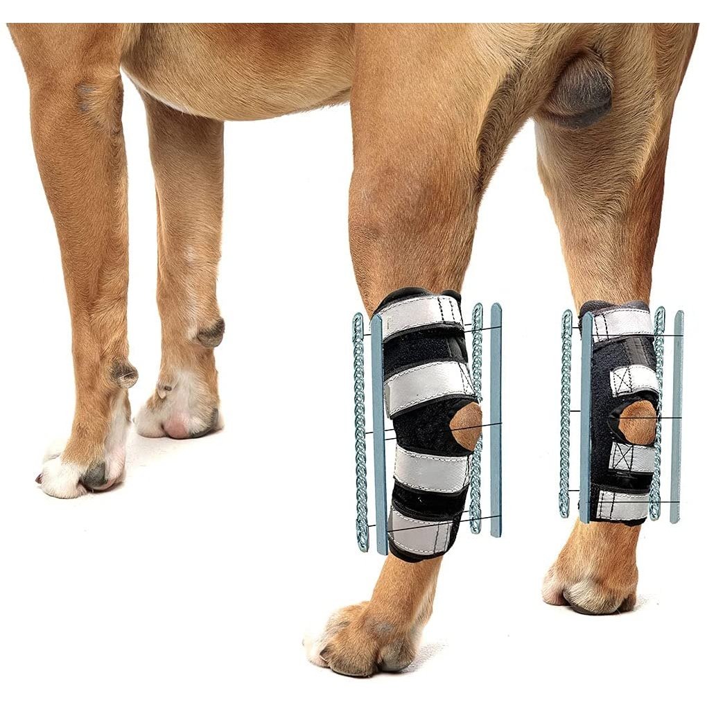 NeoAlly 3-in-1 Long Rear Leg Hock Brace - Rigid and Spring Inserts