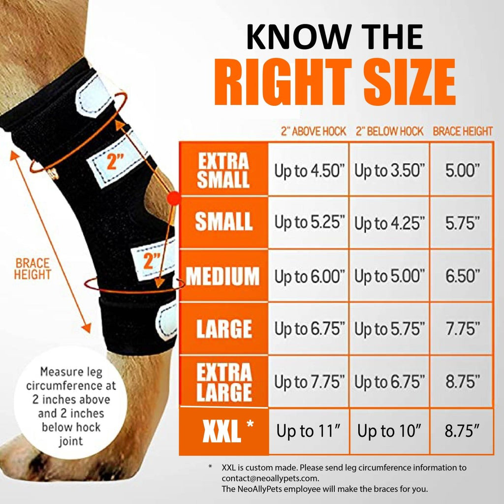 NeoAlly 3-in-1 Long Rear Leg Hock Brace - Rigid and Spring Inserts