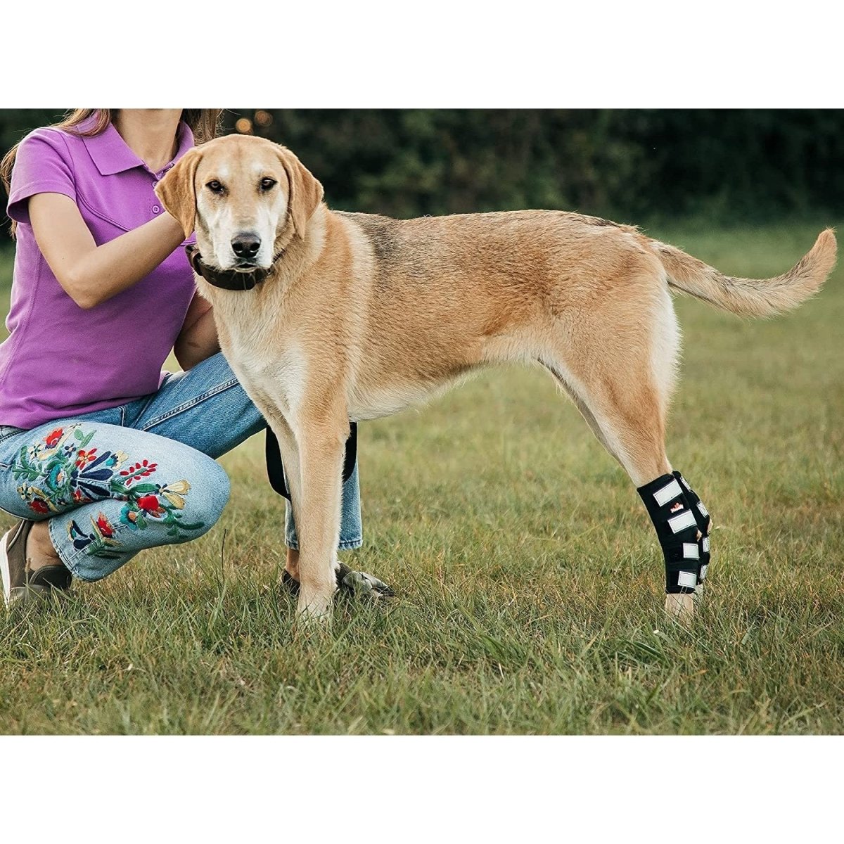 NeoAlly 3-in-1 Long Rear Leg Hock Brace - Rigid and Spring Inserts