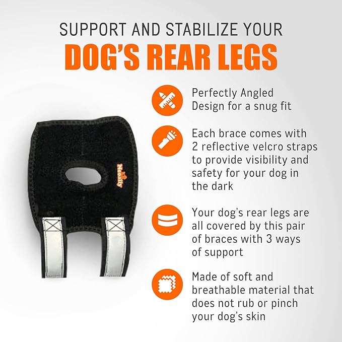 NeoAlly 3-in-1 Short Rear Leg Hock Brace for Smaller Dogs