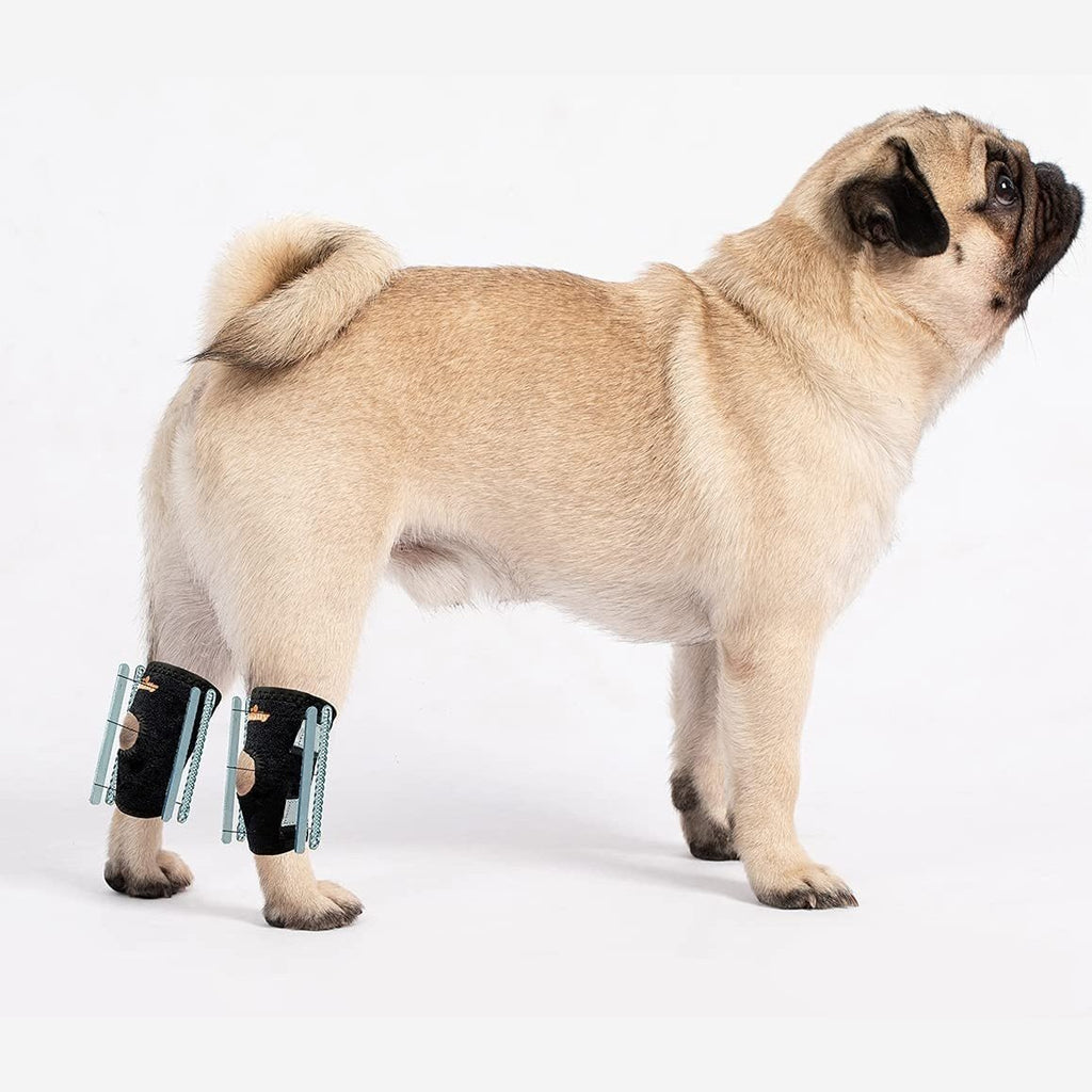 NeoAlly 3-in-1 Short Rear Leg Hock Brace for Smaller Dogs