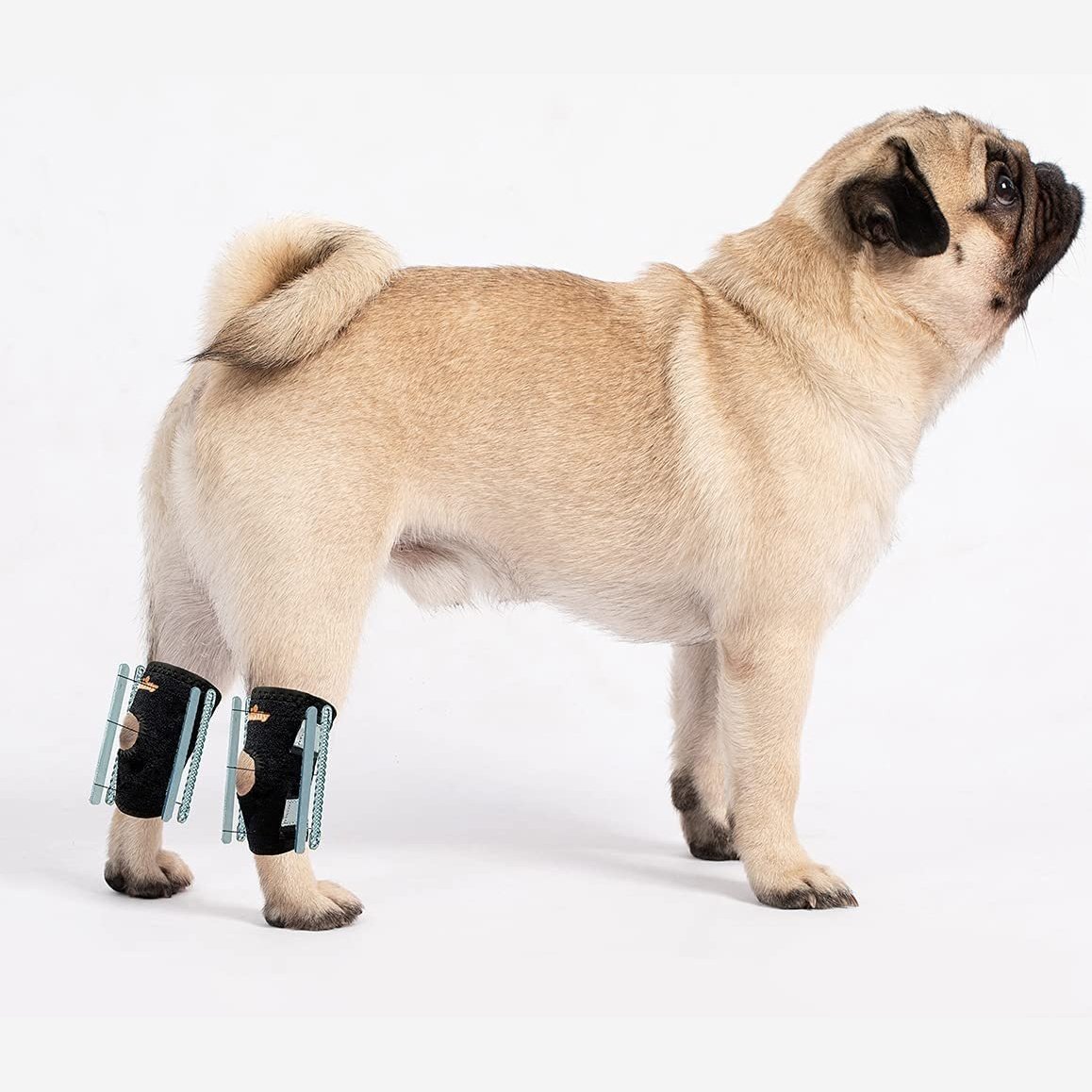 NeoAlly 3-in-1 Short Rear Leg Hock Brace for Smaller Dogs
