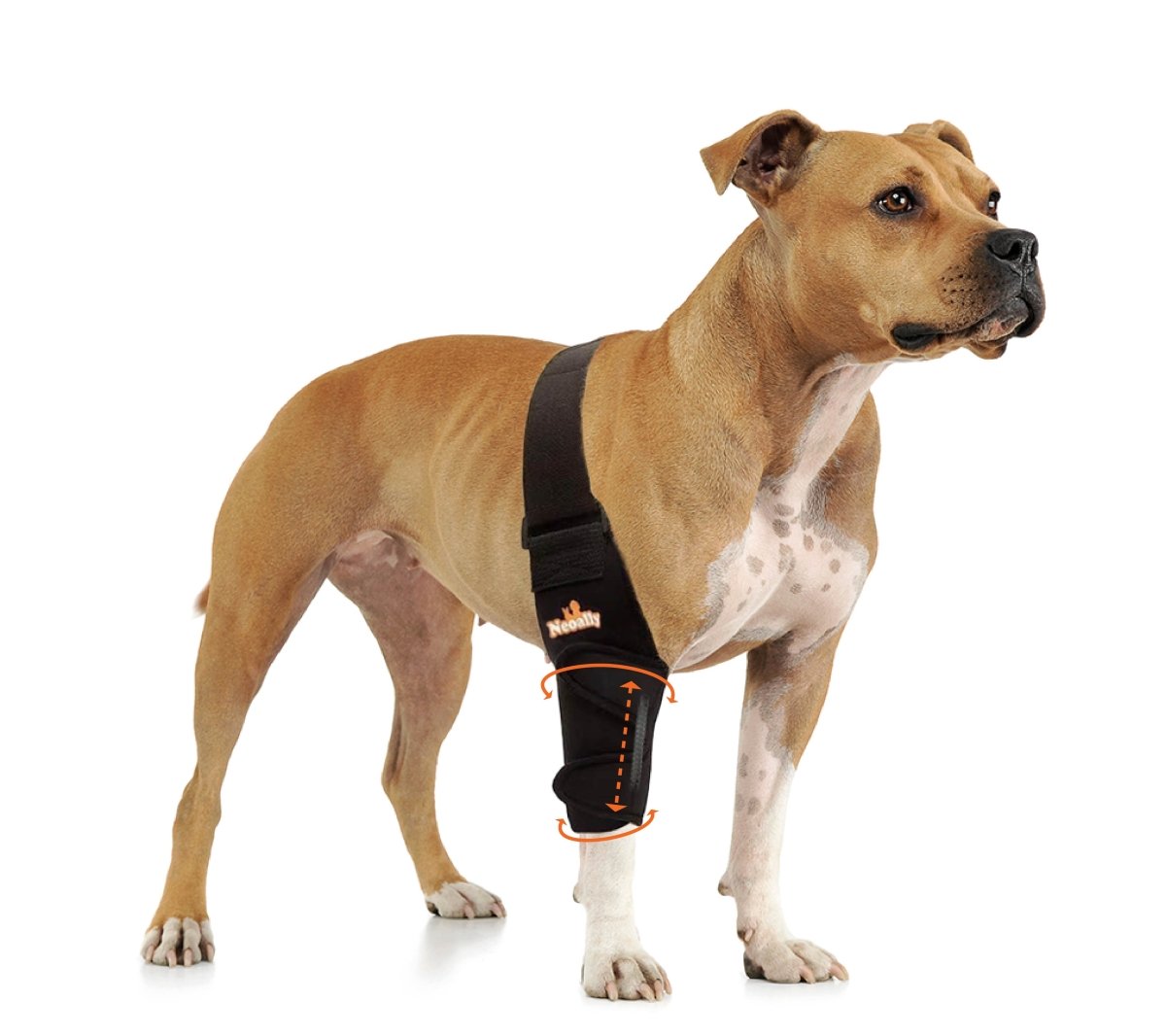 NeoAlly Elbow and Shoulder Brace with Spring Inserts for Dogs and Cats