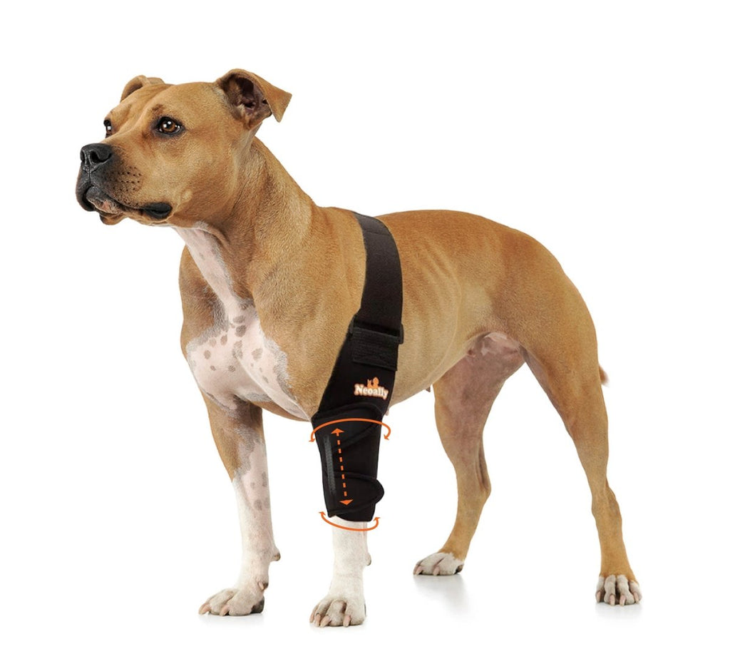 NeoAlly Elbow and Shoulder Brace with Spring Inserts for Dogs and Cats