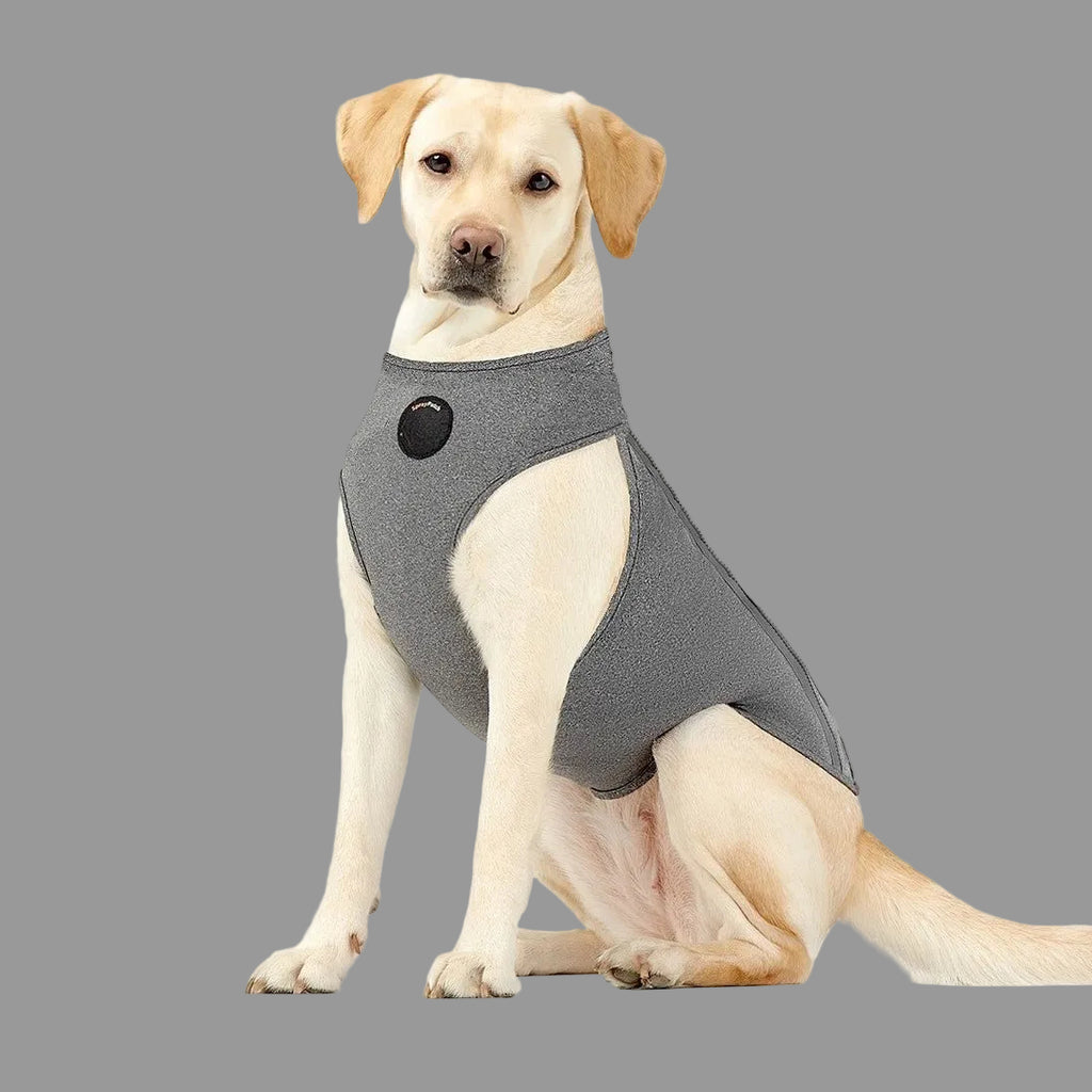 NeoAlly Upgraded Dog Surgical Recovery Vest for Dogs and Cats